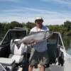 Huk and the last king Salmon he caught in Chico, CA on September 18, 2006. It is 39" long about 40 pounds.